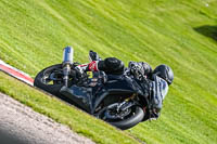 anglesey;brands-hatch;cadwell-park;croft;donington-park;enduro-digital-images;event-digital-images;eventdigitalimages;mallory;no-limits;oulton-park;peter-wileman-photography;racing-digital-images;silverstone;snetterton;trackday-digital-images;trackday-photos;vmcc-banbury-run;welsh-2-day-enduro